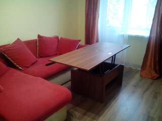 Апартаменты Apartment Syrec Киев Апартаменты с 1 спальней-25